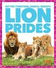Lion_prides