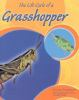 The_life_cycle_of_a_grasshopper