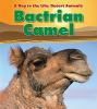 Bactrian_camel