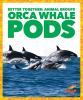 Orca_whale_pods