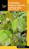 A_field_guide_to_poison_ivy__poison_oak__and_poison_sumac