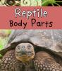 Reptile_body_parts