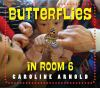 Butterflies_in_room_6
