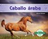 Caballo___rabe___Arabian_horses