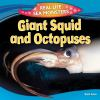Giant_squid_and_octopuses