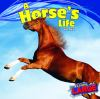 A_horse_s_life