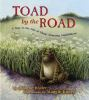 Toad_by_the_road