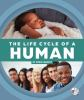 The_life_cycle_of_a_human