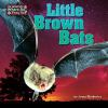 Little_brown_bats