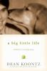 A_big_little_life