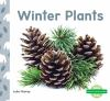 Winter_plants