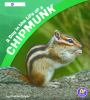 A_day_in_the_life_of_a_chipmunk