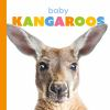 Baby_kangaroos