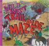 The_Wild_West_trail_ride_maze