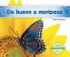 De_huevo_a_mariposa___Becoming_a_butterfly