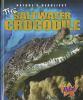 The_saltwater_crocodile