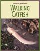 Walking_catfish