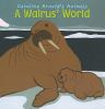 A_walrus__world