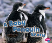 A_baby_penguin_story