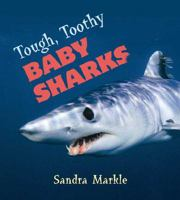 Tough__toothy_baby_sharks