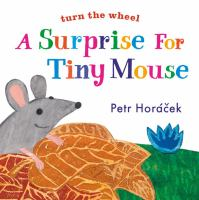 A_surprise_for_Tiny_Mouse