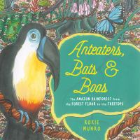Anteaters__bats___boas