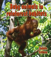 Baby_animals_in_rainforest_habitats