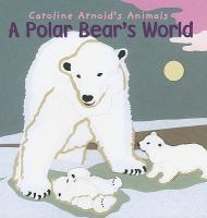A_polar_bear_s_world