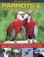 Parrots___rainforest_birds