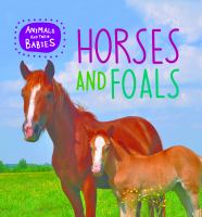 Horses_and_foals